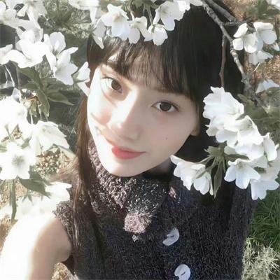 墨总的硬核小娇妻 在线观看封面